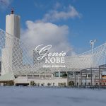 【これが神戸？】大雪で神戸が白銀世界になっていた....動画で紹介。