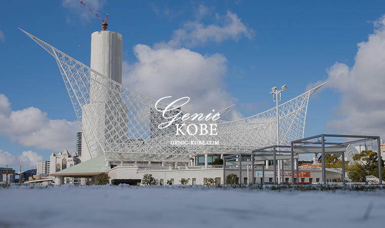 【これが神戸？】大雪で神戸が白銀世界になっていた....動画で紹介。