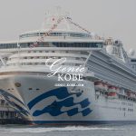 3年ぶり！神戸港に豪華客船が帰ってきた！早速見てきたダイヤモンド・プリンセス号【ポートターミナル】