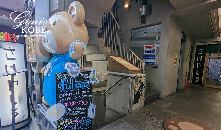 【fuleca】生田神社前にアニマルカフェ・フレカ三宮店さんがオープンしてる。