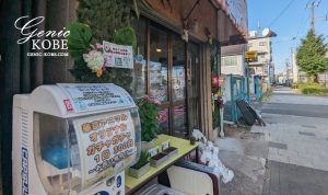 長田区2号線沿いに小動物専門店「華京アニマル」さんが移転オープンしてるよ！【モモンガ】