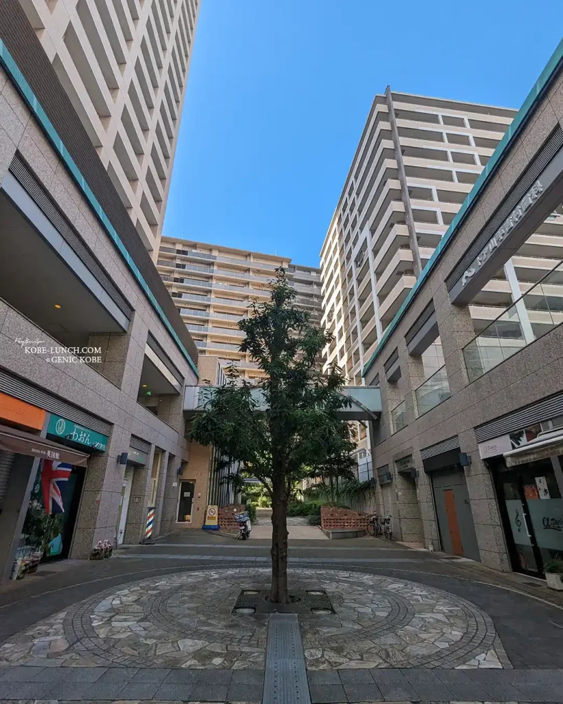 三宮トア山手に「vita ヴィータ」オープン