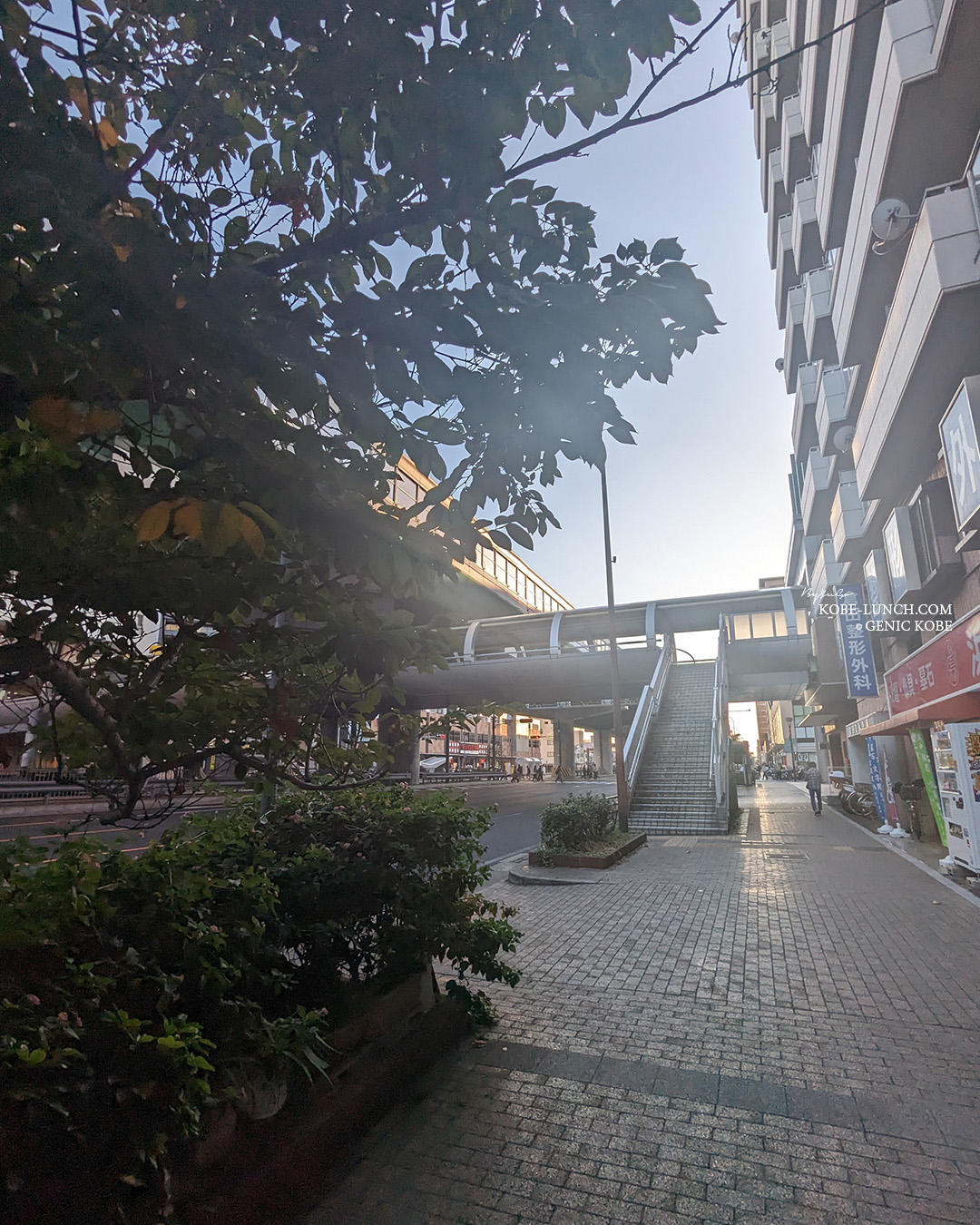 新長田「とろり天使のわらびもち」