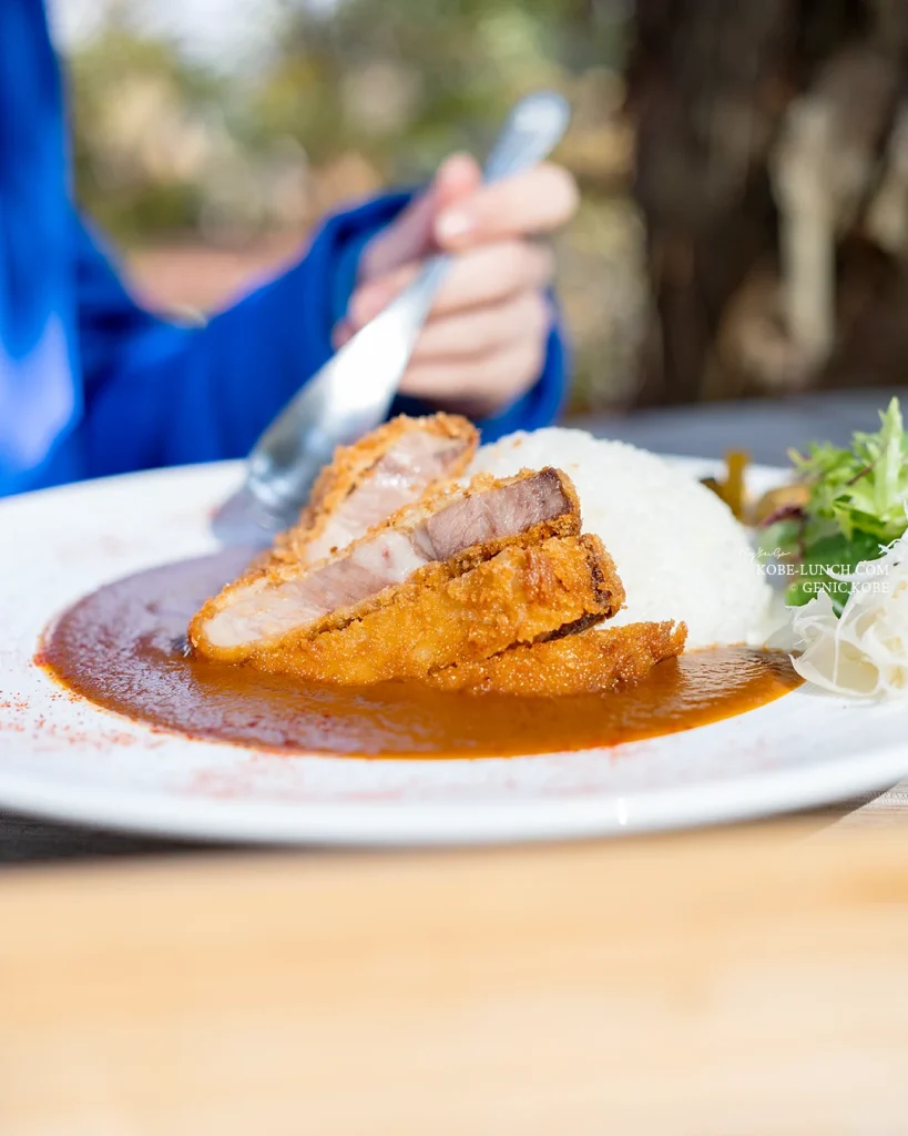 ソラカフェ 北野異人館 ビフカツカレー