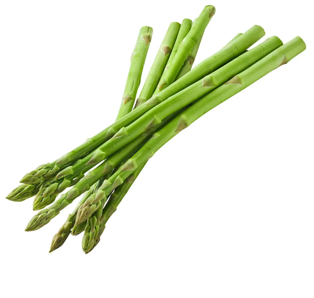 小樽「いちふじ柴田商店」グリーンアスパラ(2Lサイズ 1束)681円  ※天候・交通事情などにより入荷のない場合もございます