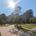 リニューアルした三宮・磯上公園に行ってきたよ【芝生や遊具も】