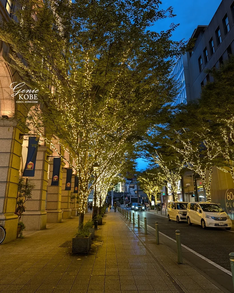 神戸旧居留地でライトアップが2025年2月末頃まで開催されてるよ！