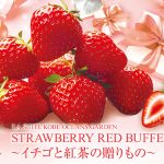 訪問予定・オーシャンズガーデンでストロベリーブッフェ2025が開催されるよ!