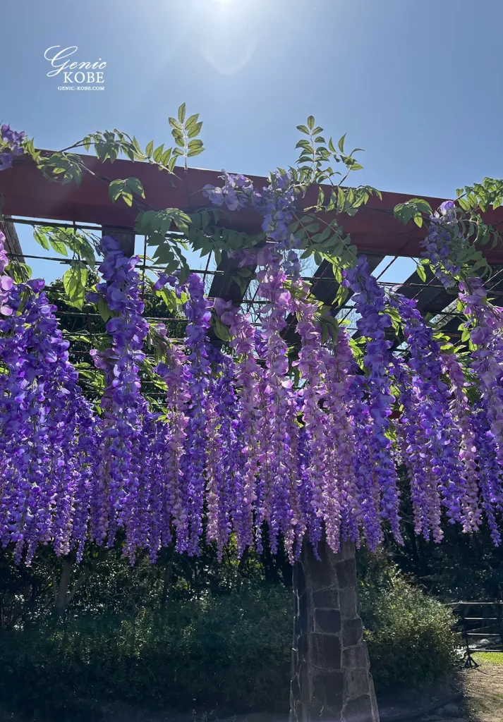 ニジゲンノモリ×アニメ『鬼滅の刃』コラボイベント