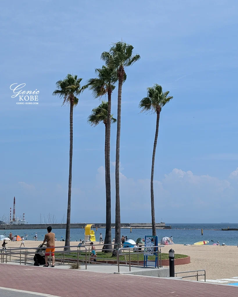 2025年夏、神戸須磨海岸に行ってきた！
