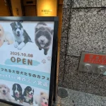 神戸三宮にモフれる大型犬たちのカフェ Moffleさんがオープンするよ