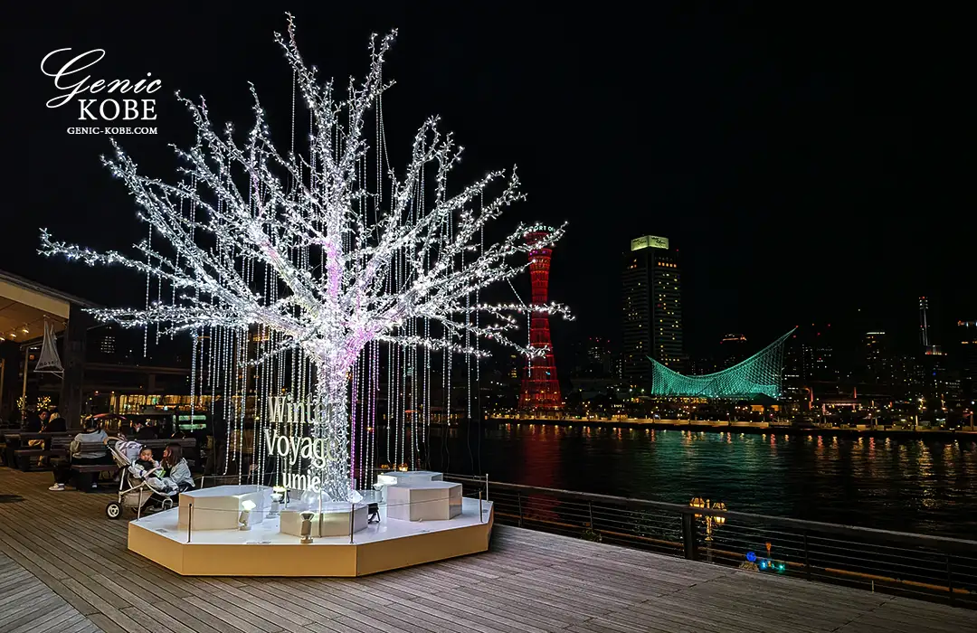 神戸ハーバーランドにクリスマス装飾が登場してるよ！【2025】