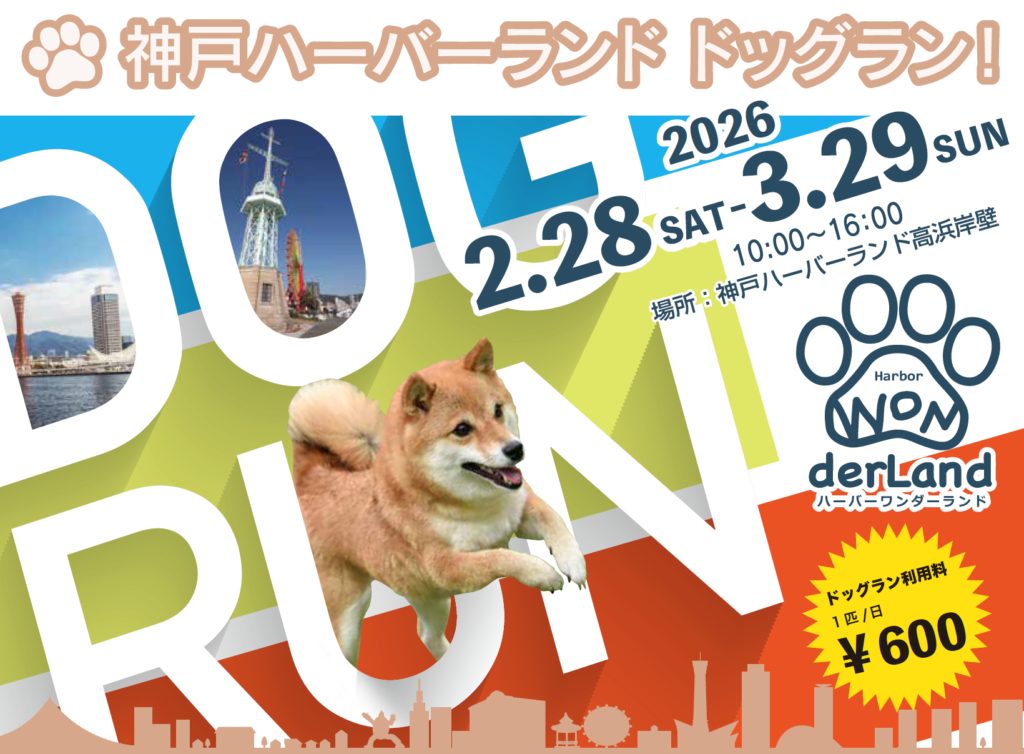 神戸ハーバーランドでドッグランが開催されてるよ！