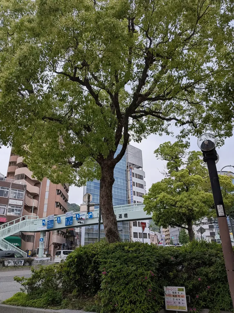 三宮加納町に「HYPE SAND」さんがオープンしたよ、サンドイッチやアサイーボウル