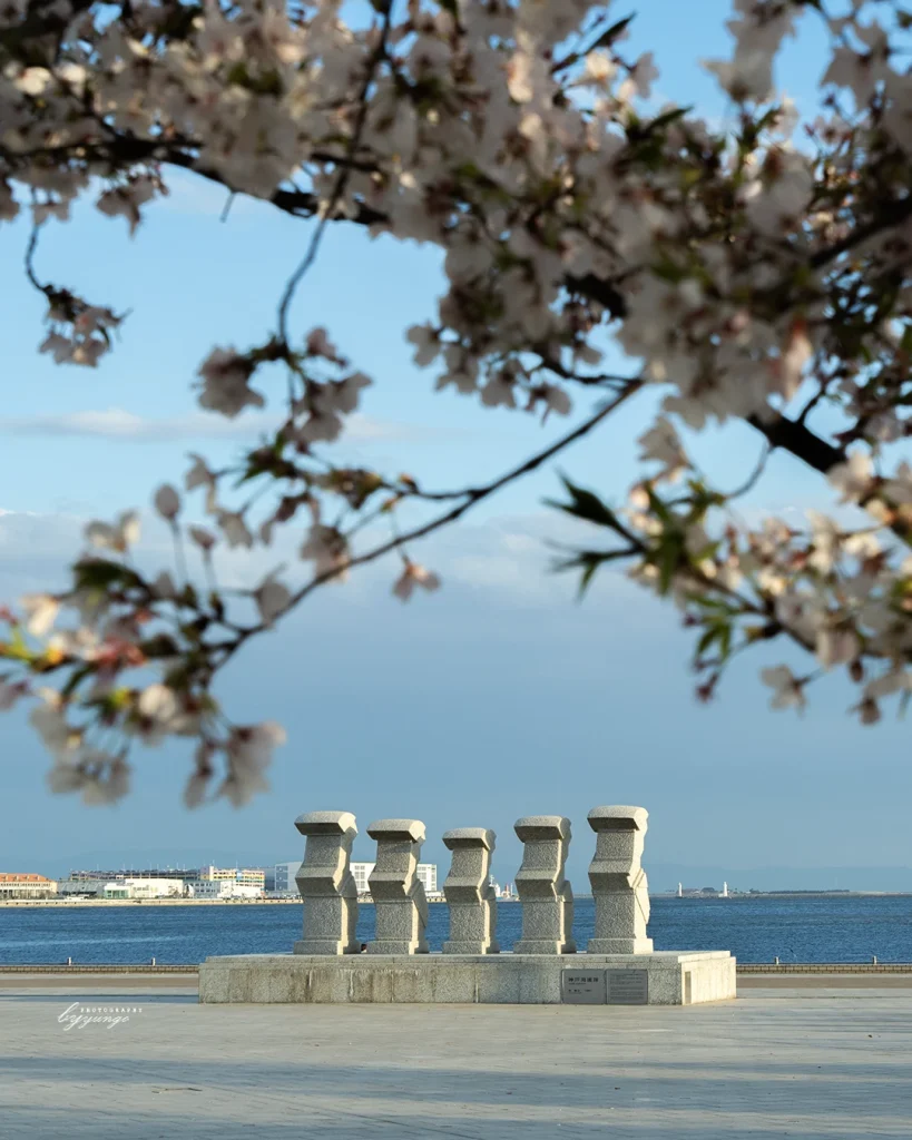 神戸メリケンパークの夜桜ライトアップを見てきたよ