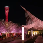 神戸メリケンパークの夜桜ライトアップを見てきたよ