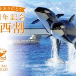 須磨シーワールドで開業2周年記念の関西割が始まったよ！